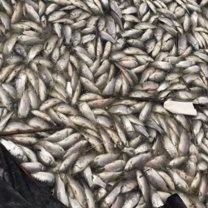 �}���a�~���l�w��Ѫ�����Ły��äĿ���B�����ˡ�������ˎ����ȫ܊���]��