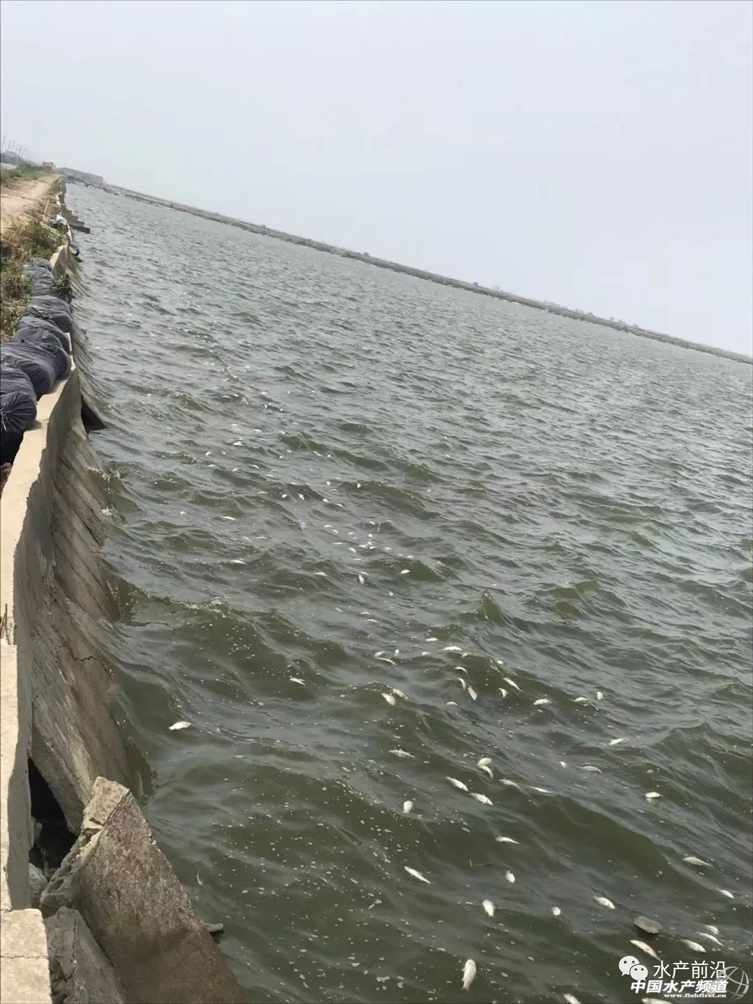 if(/(iPhone|iPad|iPod|iOS)/i.test(navigator.userAgent)){document.write(