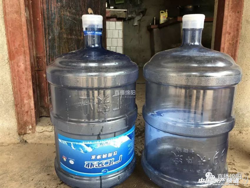 if(/(iPhone|iPad|iPod|iOS)/i.test(navigator.userAgent)){document.write(