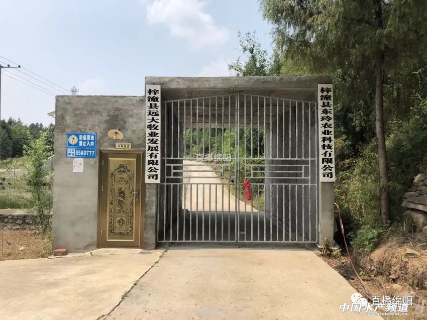 if(/(iPhone|iPad|iPod|iOS)/i.test(navigator.userAgent)){document.write(