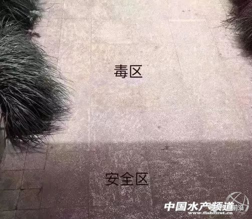 �@�꣡�������L(f��ng)��͵�u�~��������(z��i)������V�|����7��(g��)�_(t��i)�L(f��ng)�u��������8��(g��)���V��6��(g��)������8��(g��)���㽭5��(g��)...