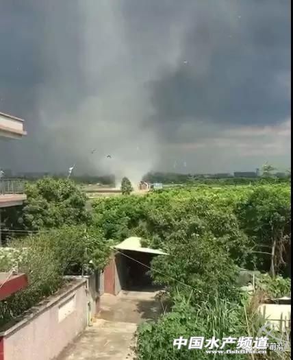 �@�꣡�������L(f��ng)��͵�u�~��������(z��i)������V�|����7��(g��)�_(t��i)�L(f��ng)�u��������8��(g��)���V��6��(g��)������8��(g��)���㽭5��(g��)...