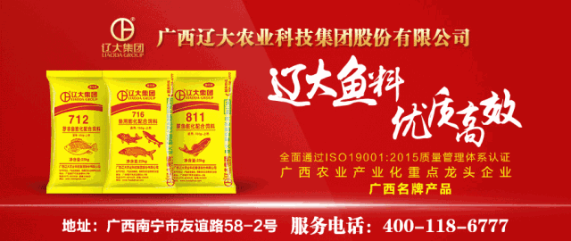 �@�꣡�������L(f��ng)��͵�u�~��������(z��i)������V�|����7��(g��)�_(t��i)�L(f��ng)�u��������8��(g��)���V��6��(g��)������8��(g��)���㽭5��(g��)...