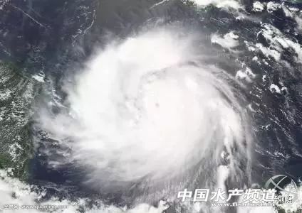 �@�꣡�������L(f��ng)��͵�u�~��������(z��i)������V�|����7��(g��)�_(t��i)�L(f��ng)�u��������8��(g��)���V��6��(g��)������8��(g��)���㽭5��(g��)...