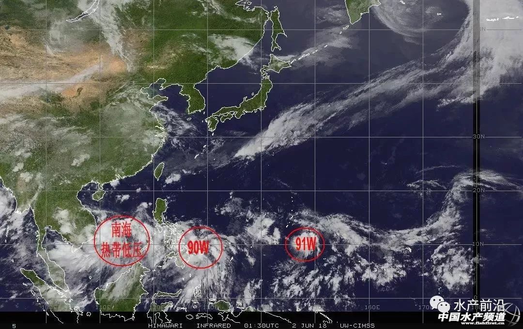 ��(l��i)�����(qi��ng)12��(j��)��4̖(h��o)�_(t��i)�L(f��ng)�������ᡱ���������ֲ�����ҹ����һ��(g��)��3�_(t��i)����(qi��ng)�L(f��ng)������˹�Ű�������}��������·����