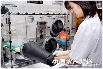 ȫ��֪���r������T.W.Flegel��EHP�ױ��`�\��Ҳ�����£���Ҫ�e�����r��