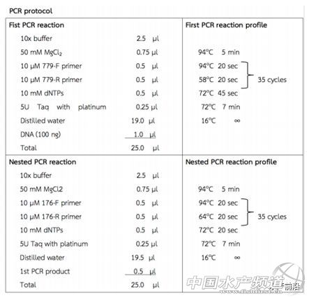 ȫ��֪���r������T.W.Flegel��EHP�ױ��`�\��Ҳ�����£���Ҫ�e�����r��