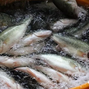 2018��6��18�ռ����|���^�r���麆��--�V�|�����N���ϝq���@