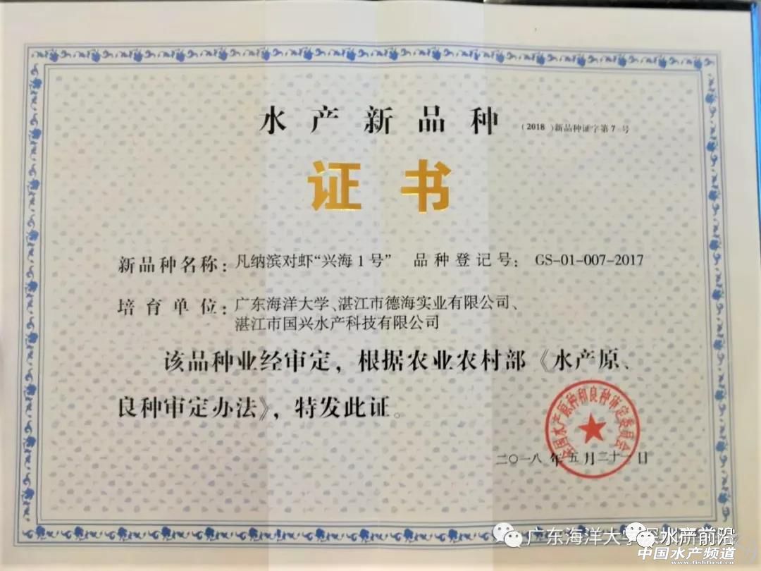 ���߰������������L�ٿ졢�ɻ��ʽ�80%���V�|�����W���^�����������׌��r��Ʒ�N�M�ճ���������B���᣿