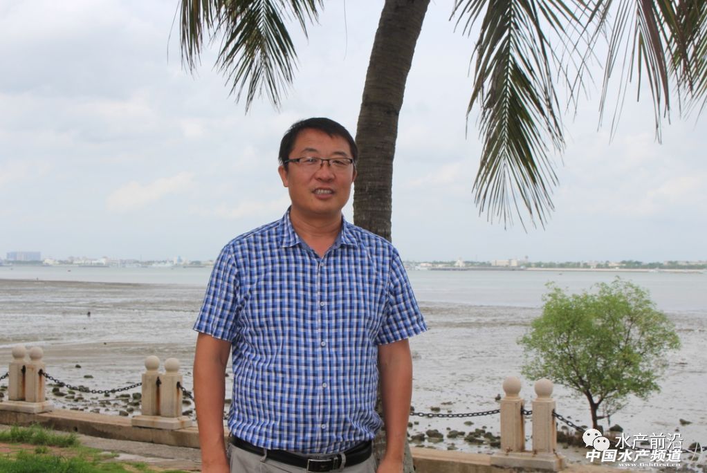 ���߰������������L�ٿ졢�ɻ��ʽ�80%���V�|�����W���^�����������׌��r��Ʒ�N�M�ճ���������B���᣿