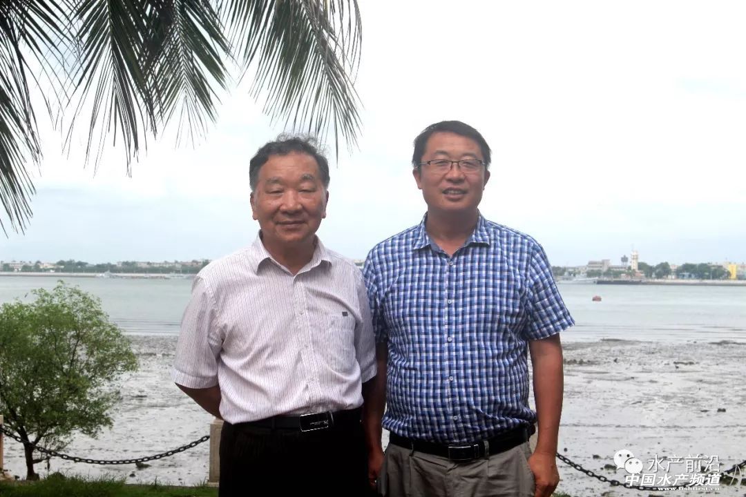 ���߰������������L�ٿ졢�ɻ��ʽ�80%���V�|�����W���^�����������׌��r��Ʒ�N�M�ճ���������B���᣿