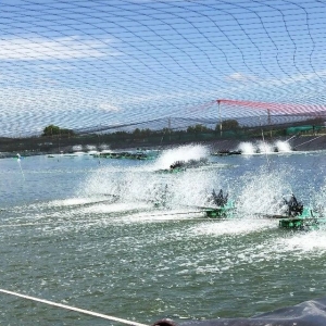 �@Щ�B�rģʽ��ֵ�ÿ������ɹ����ձ�8-9�ɣ�Ҏ��15�^/�