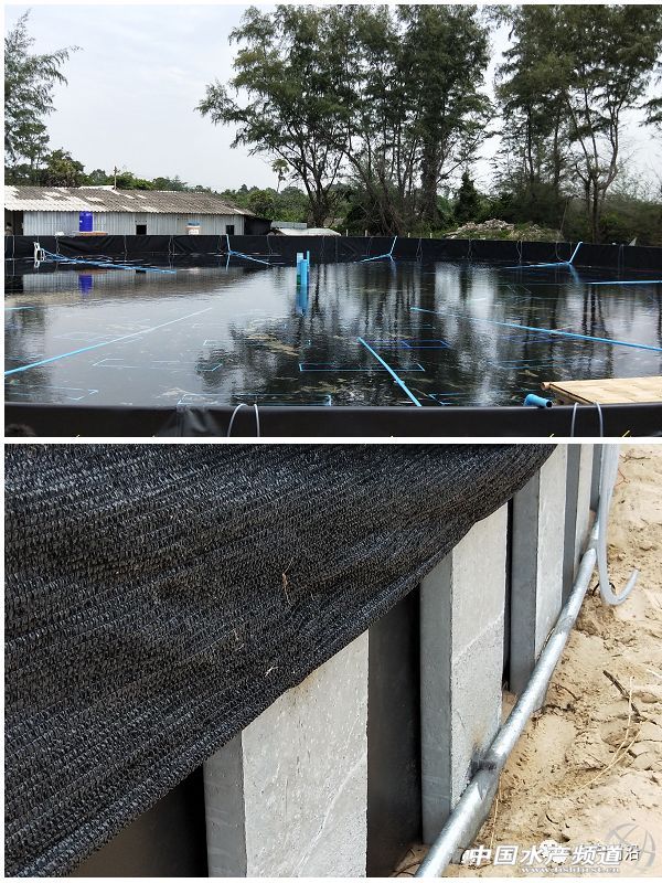 ���ܶȾ��B�ɹ����ձ�8-9�ɣ�Ҏ���_15�^/��@Щ�B�rģʽ��ֵ�ÿ���