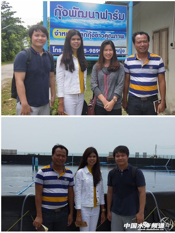 ���ܶȾ��B�ɹ����ձ�8-9�ɣ�Ҏ���_15�^/��@Щ�B�rģʽ��ֵ�ÿ���