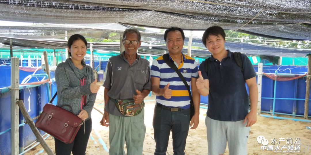 ���ܶȾ��B�ɹ����ձ�8-9�ɣ�Ҏ���_15�^/��@Щ�B�rģʽ��ֵ�ÿ���