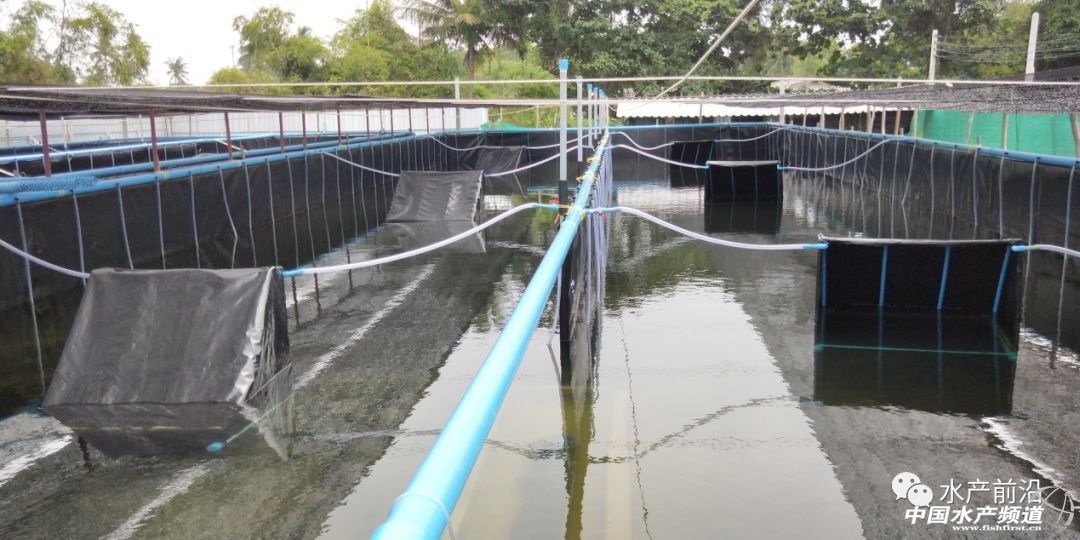 ���ܶȾ��B�ɹ����ձ�8-9�ɣ�Ҏ���_15�^/��@Щ�B�rģʽ��ֵ�ÿ���