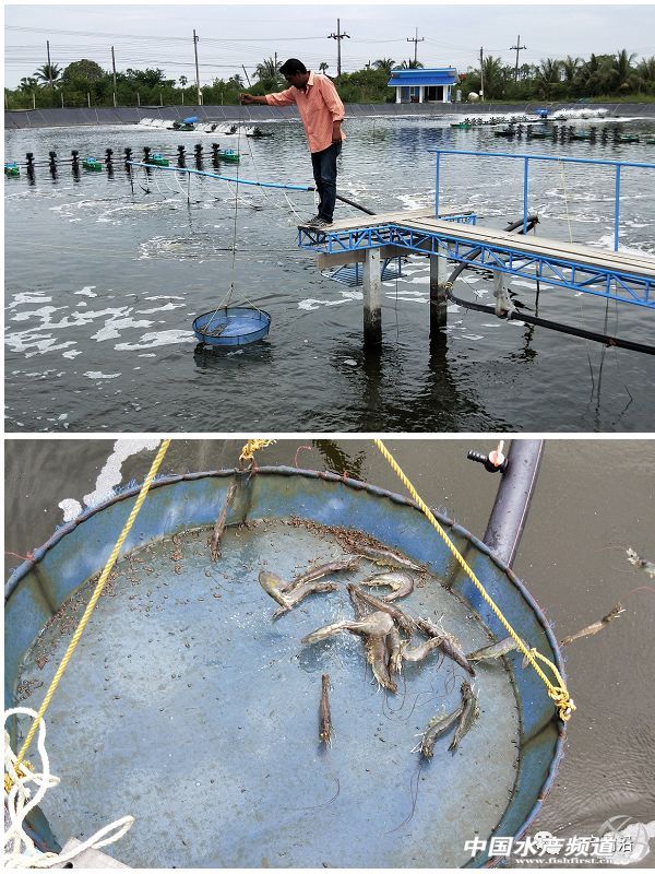 ���ܶȾ��B�ɹ����ձ�8-9�ɣ�Ҏ���_15�^/��@Щ�B�rģʽ��ֵ�ÿ���