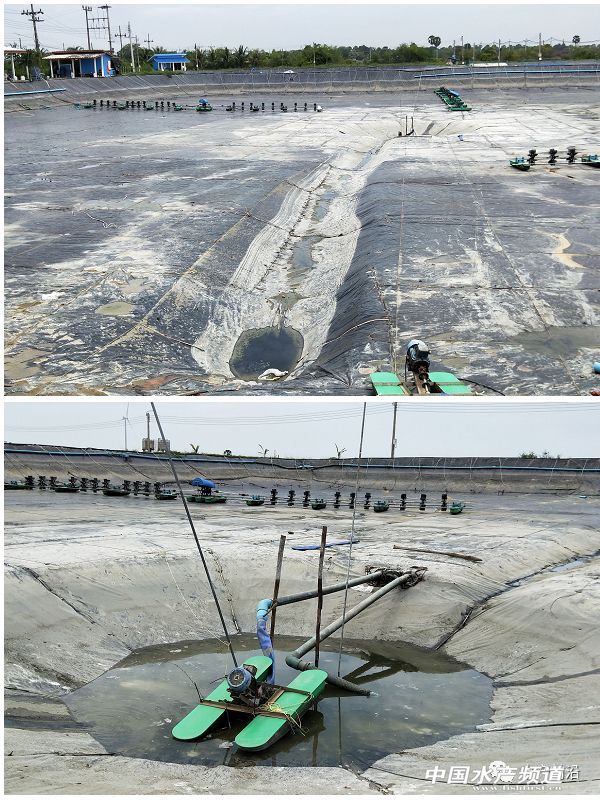 ���ܶȾ��B�ɹ����ձ�8-9�ɣ�Ҏ���_15�^/��@Щ�B�rģʽ��ֵ�ÿ���