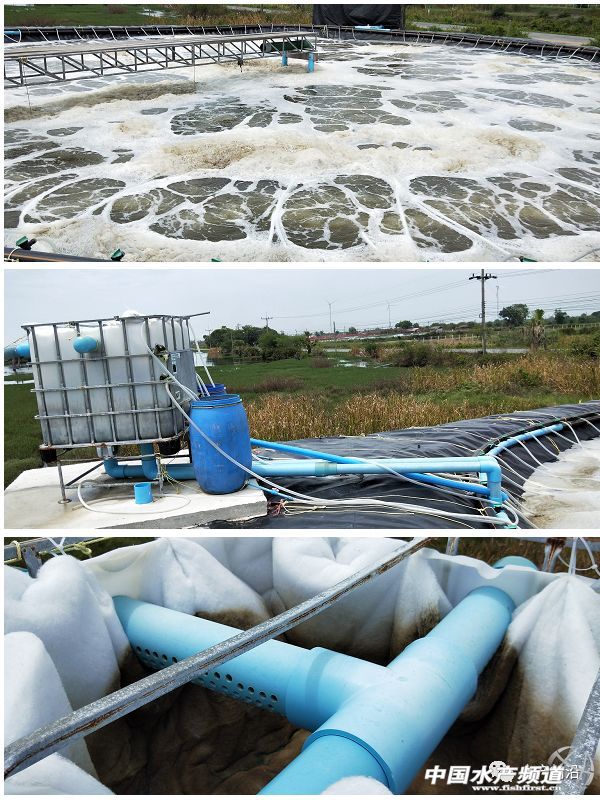 ���ܶȾ��B�ɹ����ձ�8-9�ɣ�Ҏ���_15�^/��@Щ�B�rģʽ��ֵ�ÿ���