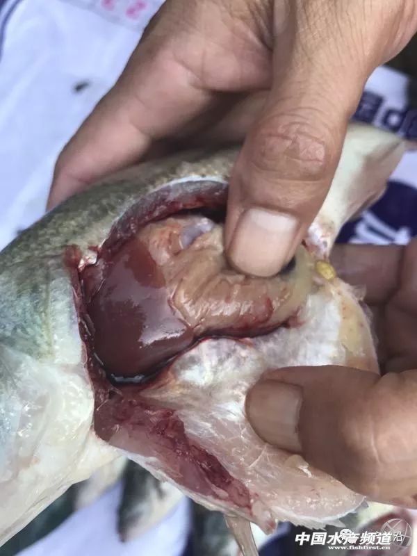 ���19Ԫ�������|�r���¸����������������~������Ҫ�����@ʮ�c |�ܴ�����ؼs