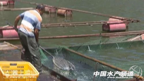 �Ĵ��Ї��ٟo�W���B�~�������������ϡ��F�ݡ��Ĵ����V��...ȫ��������࣬����ҵĆ᣿