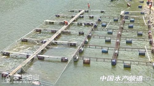 �Ĵ��Ї��ٟo�W���B�~�������������ϡ��F�ݡ��Ĵ����V��...ȫ��������࣬����ҵĆ᣿