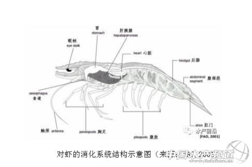 ���r�B(y��ng)ֳ�a(ch��n)Ʒ߯�ࡢ���Q̫�񣡱��ν��c�ܺ��Σ��в�ˎ+ø�Ƅ��ͺã�