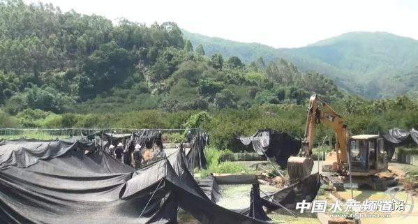 �o�����@�����TƷ�NͻȻ�������ˣ����ֵ؅^��ȫ��⚢���B�����л򱩝q���@һٍ�XƷ�N�����Ҫ����