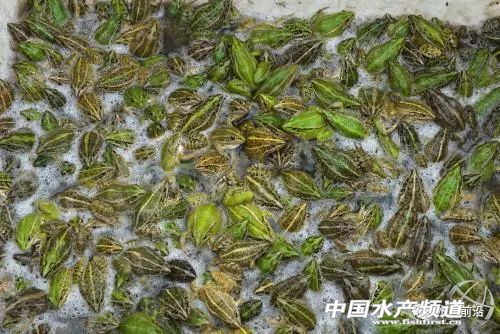 �o�����@�����TƷ�NͻȻ�������ˣ����ֵ؅^��ȫ��⚢���B�����л򱩝q���@һٍ�XƷ�N�����Ҫ����