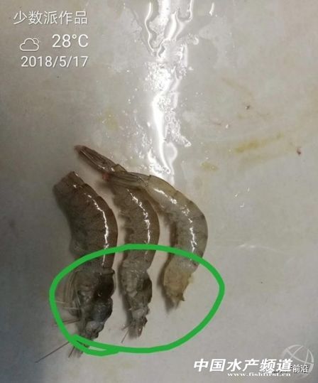 ������(j��ng)�v�Č�(du��)�r���ݲ����ЈD�����࣡