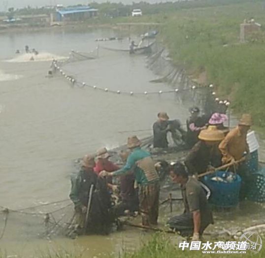 ���Լ���ȡ����