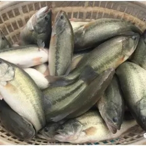 �q�q�q���Ĵ�������ͻ��20Ԫ���P(gu��n)��