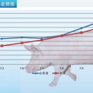 �B�m(x��)�ϝq���i�r(ji��)����߀���ϝq��ã�