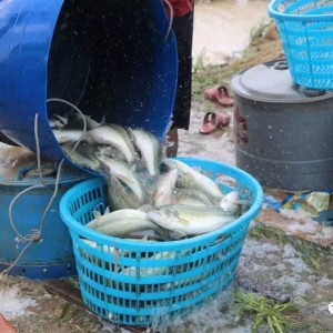 2018��7��16�ռ����|���^�r��