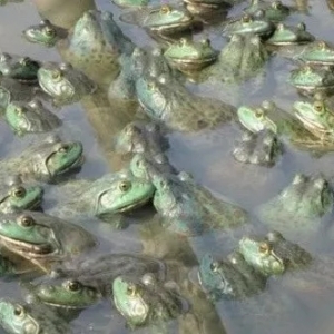 ��������܈�(ch��ng)���m(x��)���������F�ݡ��Ĵ�...�ֲ����@Щ