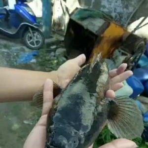 ��ײ�������Bֳ4�겻���٣��Λr�ǹS���~