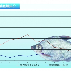 ���~��ȥ�fӭ�£����������r�����С�����ˮ�aǰ�ء�2018��8�¿��Ј�څ��