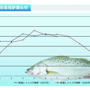 ���|���~�r(ji��)�����Ј�̎�������A�Ρ�����ˮ�a(ch��n)ǰ�ء�2018��8�¿��Ј�څ��