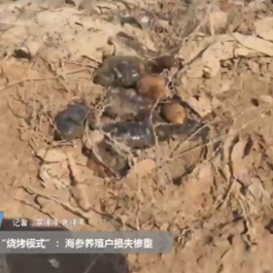 ˮ�ظ��_36�������B�����Bֳ�^�AӋ�pʧ�װك|��