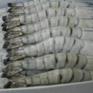 �����r�r�ġ�����������P���ˆ���δ������ߚ����ԵĴ���������@���