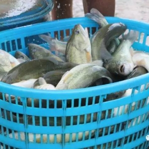 ���~��m���У��V�|�����|�r�ַ��낀����߀�ܝq�᣿