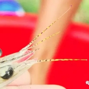 �������S���B(y��ng)ֳ�߹�(ji��)���r��20�fβ���u��170�f