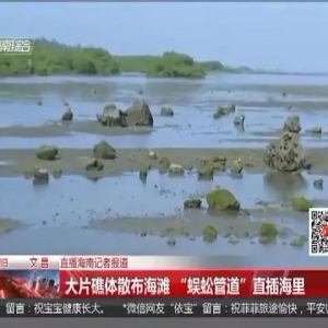 ɺ�����������l(shu��)�Ɖĵģ������T�Ҟ�����B(y��ng)ֳ��(ch��ng)�����R���B(y��ng)�������Σ�