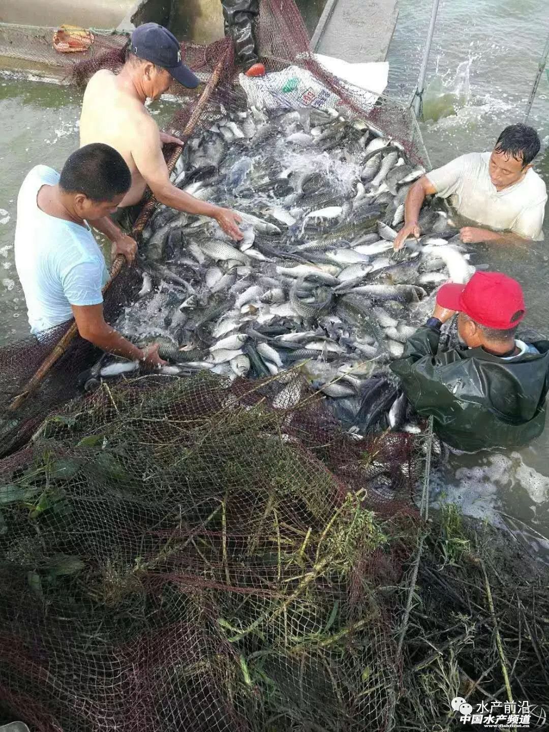 ���W�䏊���ͣ���W���~�_���ž������Ј��т������~�q�r��̖����