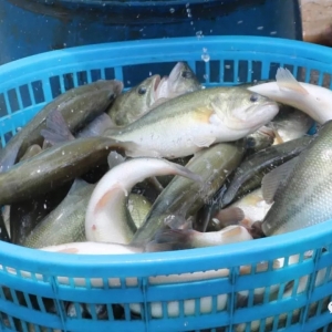 ���ϼ����|�ϝq0.2Ԫ/�������υs����0.5Ԫ/����|9��8�ռ����|�r������