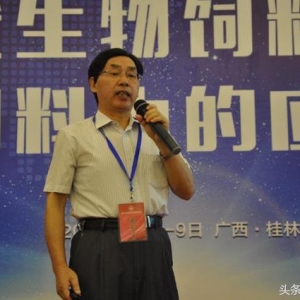 ���A�����I���l����ϳ����O���P�I���g�о��c���`