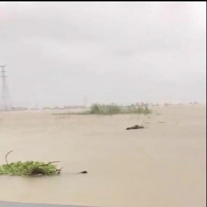 �K�ң����f���~���ܞēpʧ�ԃ|Ӌ��40������L��ɽ���؄������ǣ�