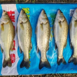 2018��10��20�պ��|���^�r���麆��--���~�������У��~�r�����µ�