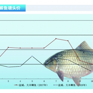 �a�~���r��ǡ���^ɽ܇������ˮ�aǰ�ء�2018��11�¿��Ј�څ��