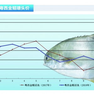 ���K�����������ӣ��~�r(ji��)С���»�������ˮ�a(ch��n)ǰ�ء�2018��11�¿��Ј�(ch��ng)څ��(sh��)
